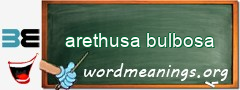 WordMeaning blackboard for arethusa bulbosa